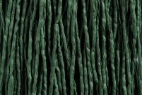 Bild 1 von 1 Meter Seidenband, Seidenschnur, 2 mm, salbei