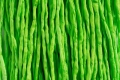 1 Meter Seidenband, Seidenschnur, 2 mm, apfelgrün