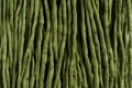 1 Meter  Seidenband, Seidenschnur, 2 mm, oliv